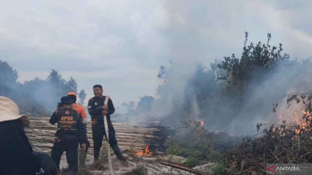 Karhutla Musim Hujan Landa Aceh, Riau, dan Kalteng: BNPB Imbau Waspada