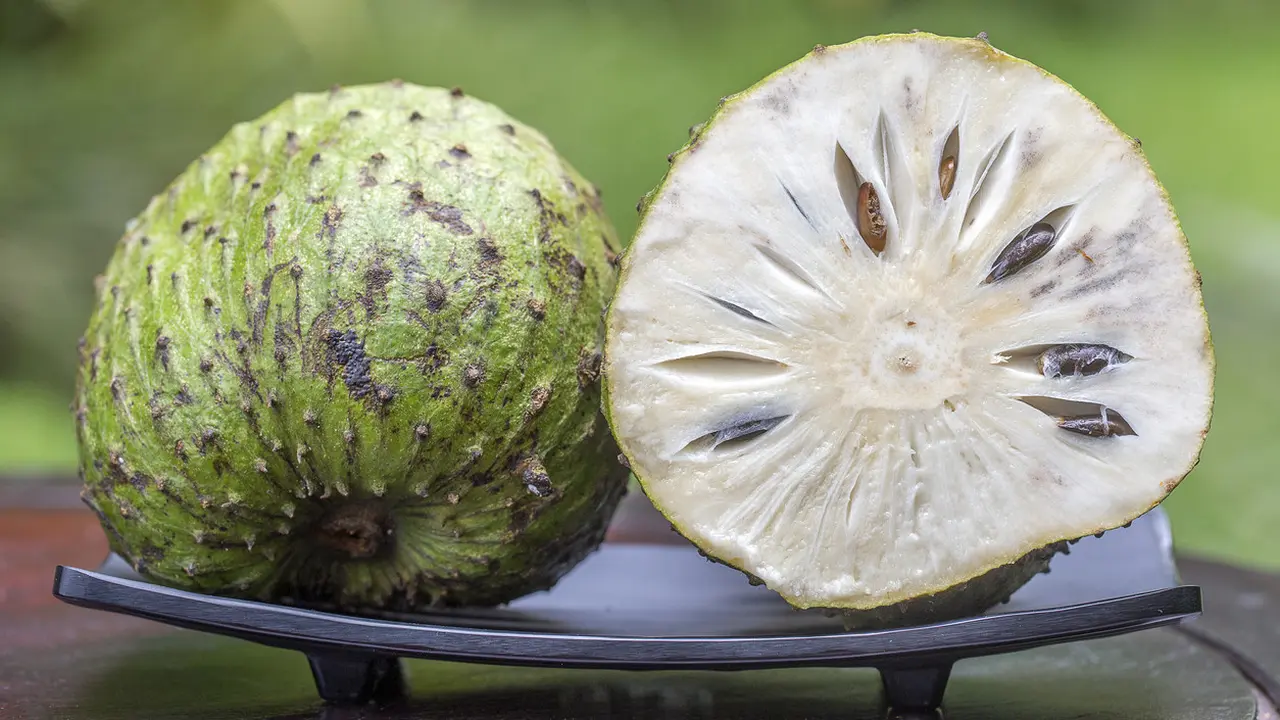 Manfaat Buah Sirsak (sumber: iStock)