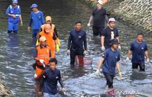 Gubernur DKI Dukung Penangkapan Ikan Sapu-Sapu, Ancaman Kesehatan dan Ekosistem Teratasi