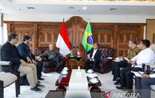 Kemdiktisaintek Jajaki Kolaborasi Riset Biofuel dan Teknologi Tinggi dengan Brasil