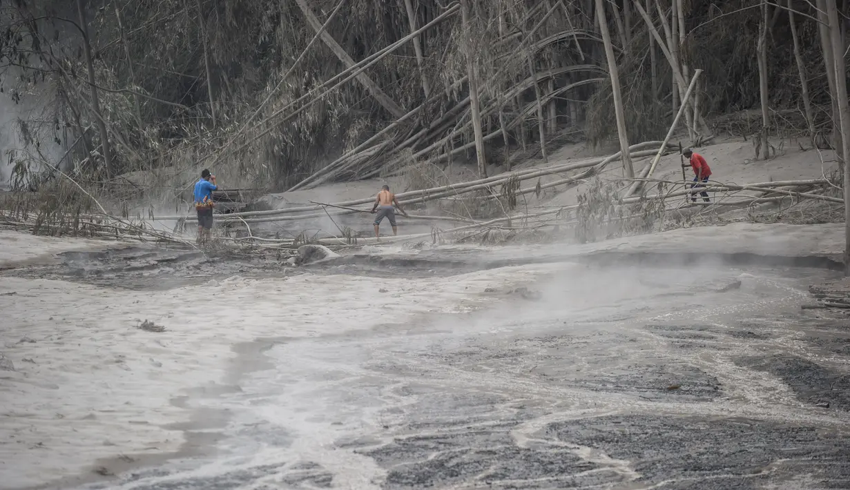 Warga desa memeriksa lahan pertanian mereka yang terkena dampak letusan Gunung Semeru di Lumajang, Provinsi Jawa Timur (3/12/2020). (AFP/Juni Kriswanto)