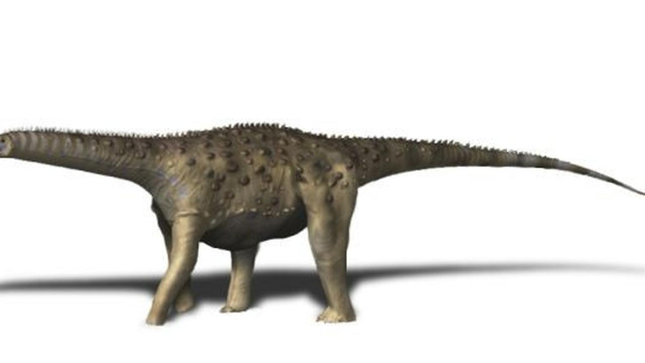 8 Titanosaurus Terbesar: Mengungkap Rahasia Raksasa Zaman Kapur