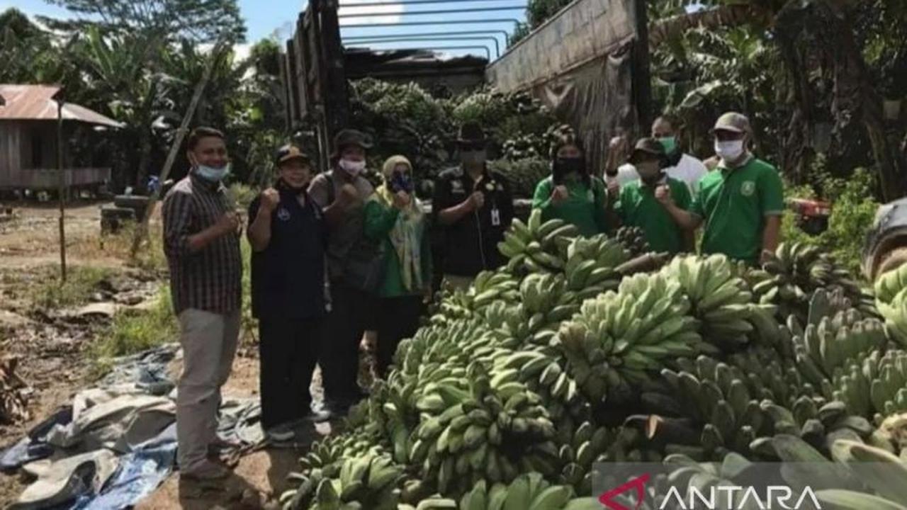 Kaltim Gencarkan Diversifikasi Pangan Lokal Hadapi Ancaman Perubahan Iklim