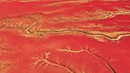 Pemandangan Pantai Merah, dinamakan demikian karena tanaman suaeda salsa yang tumbuh di lanskap rawa, di Panjin, provinsi Liaoning timur laut China (27/8/2021). Setiap musim gugur, pengunjung berbondong-bondong  untuk mengagumi pantai merah tua yang dramatis ini. (AFP/STR)