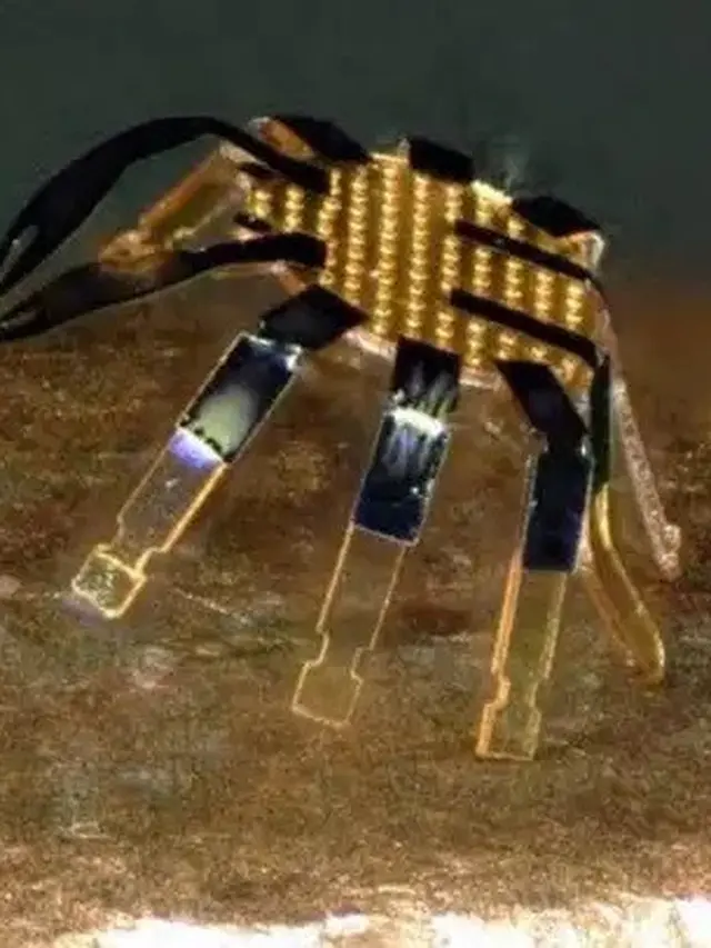 Robot Terkecil di Dunia