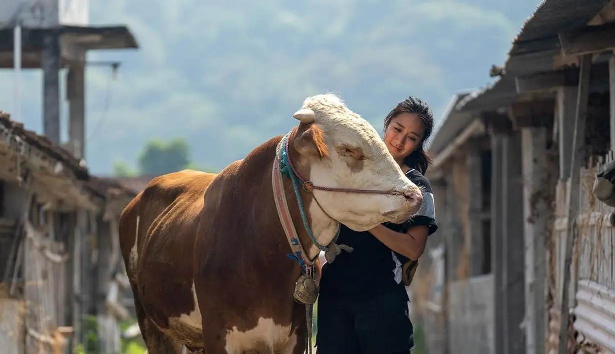 <p>Chef Renatta Moeloek baru saja mengunggah beberapa foto yang cukup mencuri perhatian netizen. Ia terlihat berfoto bersama seekor sapi. Selain jago masak, Renatta memiliki paras yang cantik, tak jarang unggahannya di media sosial selalu ditunggu netizen. (Instagram/renattamoeloek)</p>
