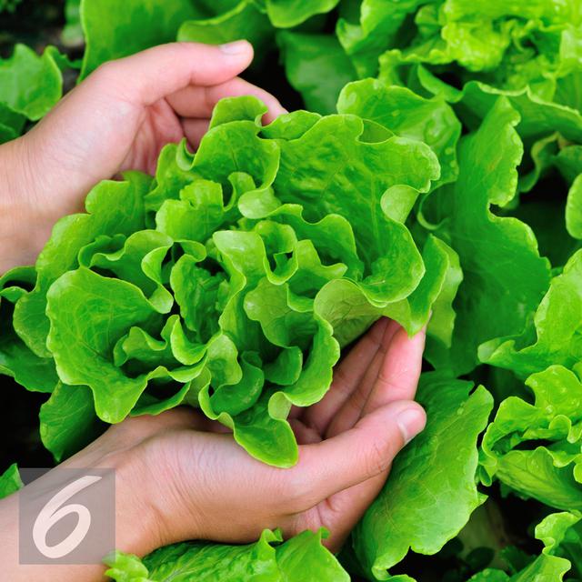Konsumsi 9 Jenis Makanan Dan Minuman Ini Saat Hamil Bisa Lancarkan
