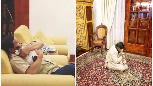 Bobby, Kucing Pak Prabowo