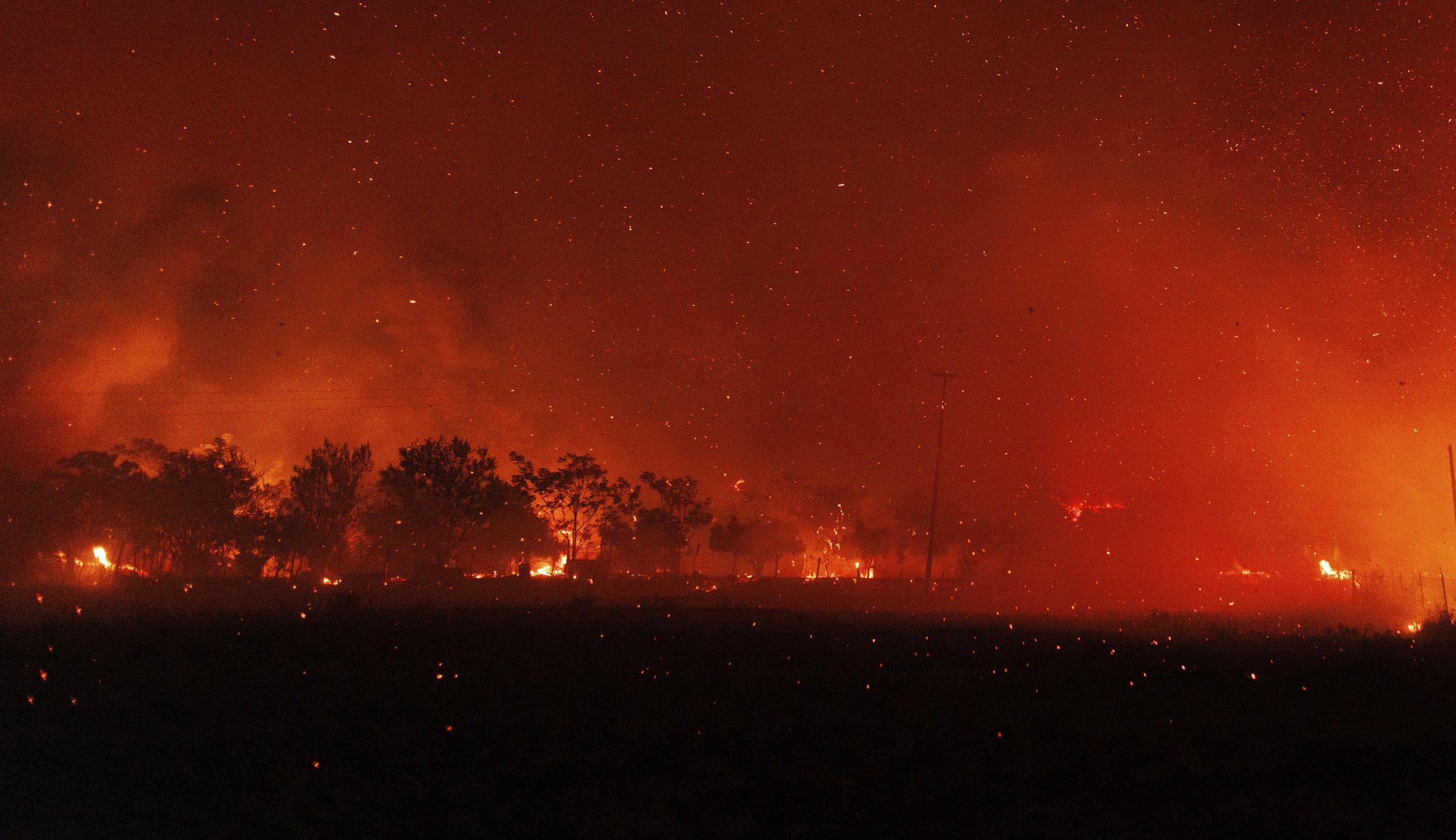 Merah Membara, Potret Ngeri Api Kebakaran Hutan di Yunani