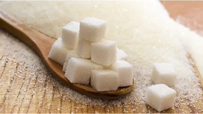 Copyright by Shutterstock.com