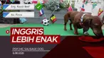 Berita video prediksi final Euro 2020 antara Inggris Vs Italia oleh Psychic Sausage Dog