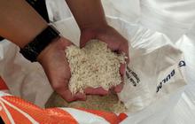 Fakta Unik: 52 Ribu KPM di Bandarlampung Bakal Terima Bantuan Beras, Ini Detailnya!