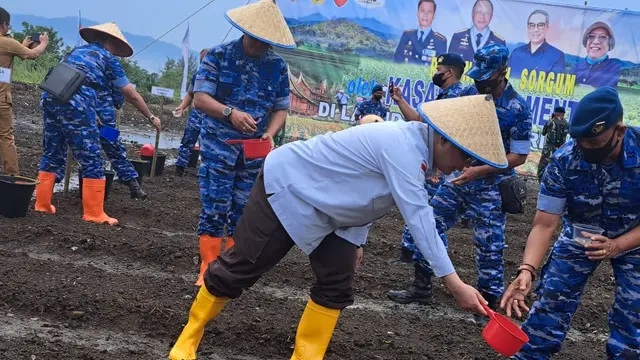 Sorgum Jadi Alternatif Pangan