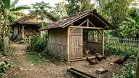 Cara Membuat Kandang Ayam Bambu Sederhana Anti Pengap dan Mudah Dibersihkan