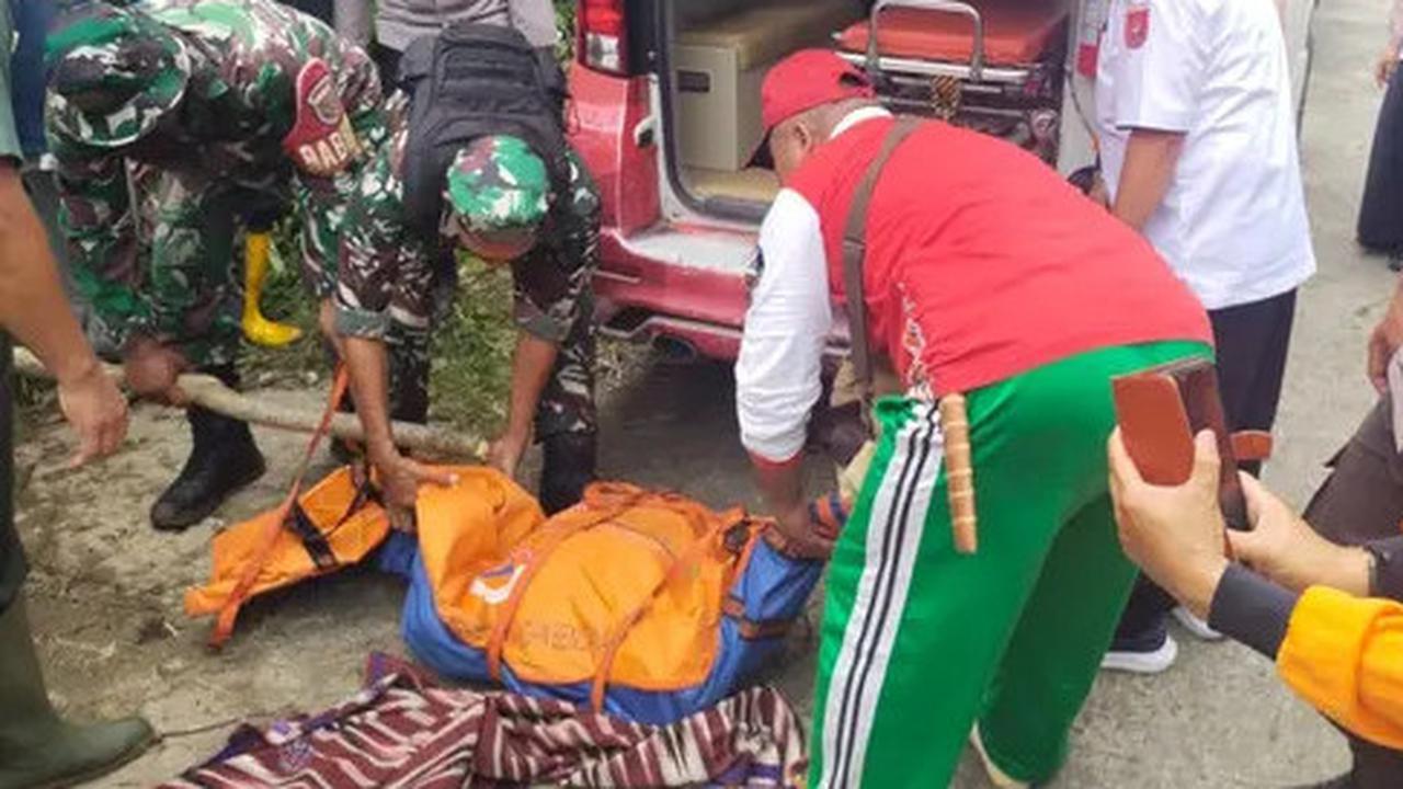 Harimau Sumatera Kembali Tebar Teror, Petani Kopi di Lampung Barat Tewas Mengenaskan