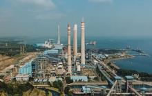Komut PLN EPI Optimistis Target 3 Juta Ton Pengadaan Biomassa Bisa Tercapai Tahun Ini