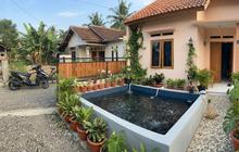 7 Cara Membuat Kolam Ikan Mini di Samping Rumah Type 45 untuk Budidaya Lele yang Cepat Panen