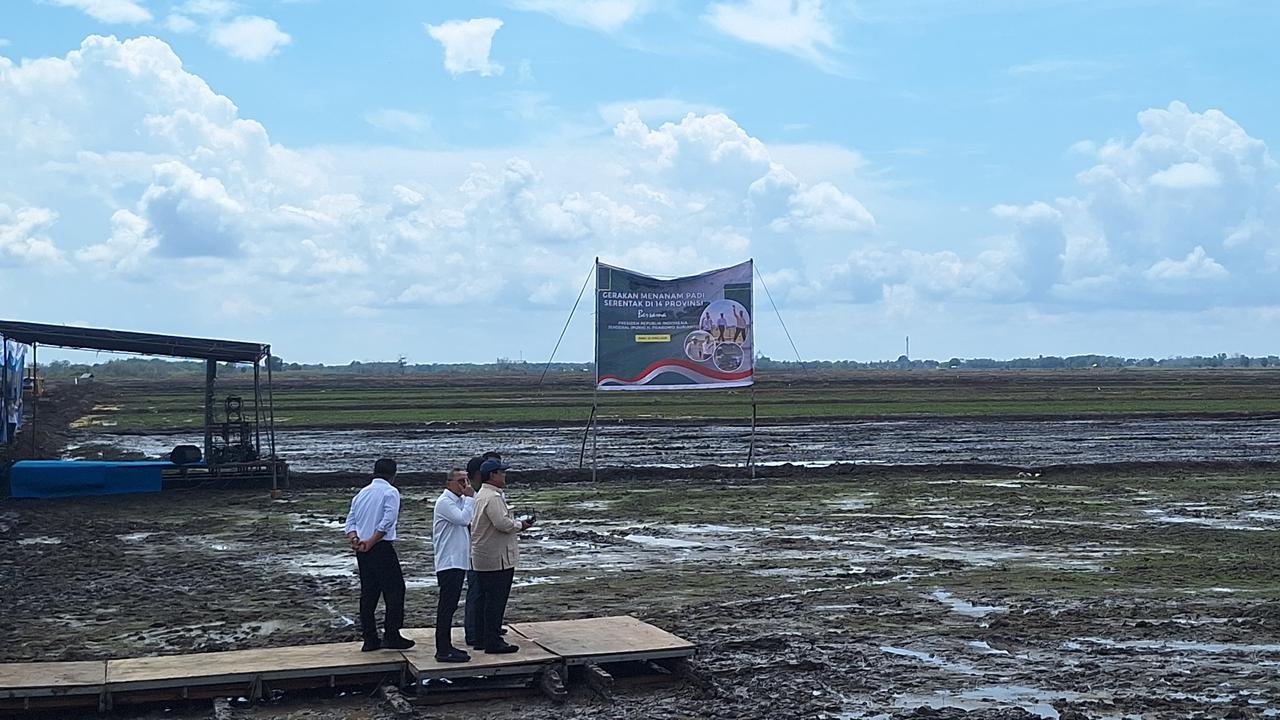 Dorong Swasembada Pangan Nasional, Prabowo Luncurkan Gerakan Indonesia Menanam