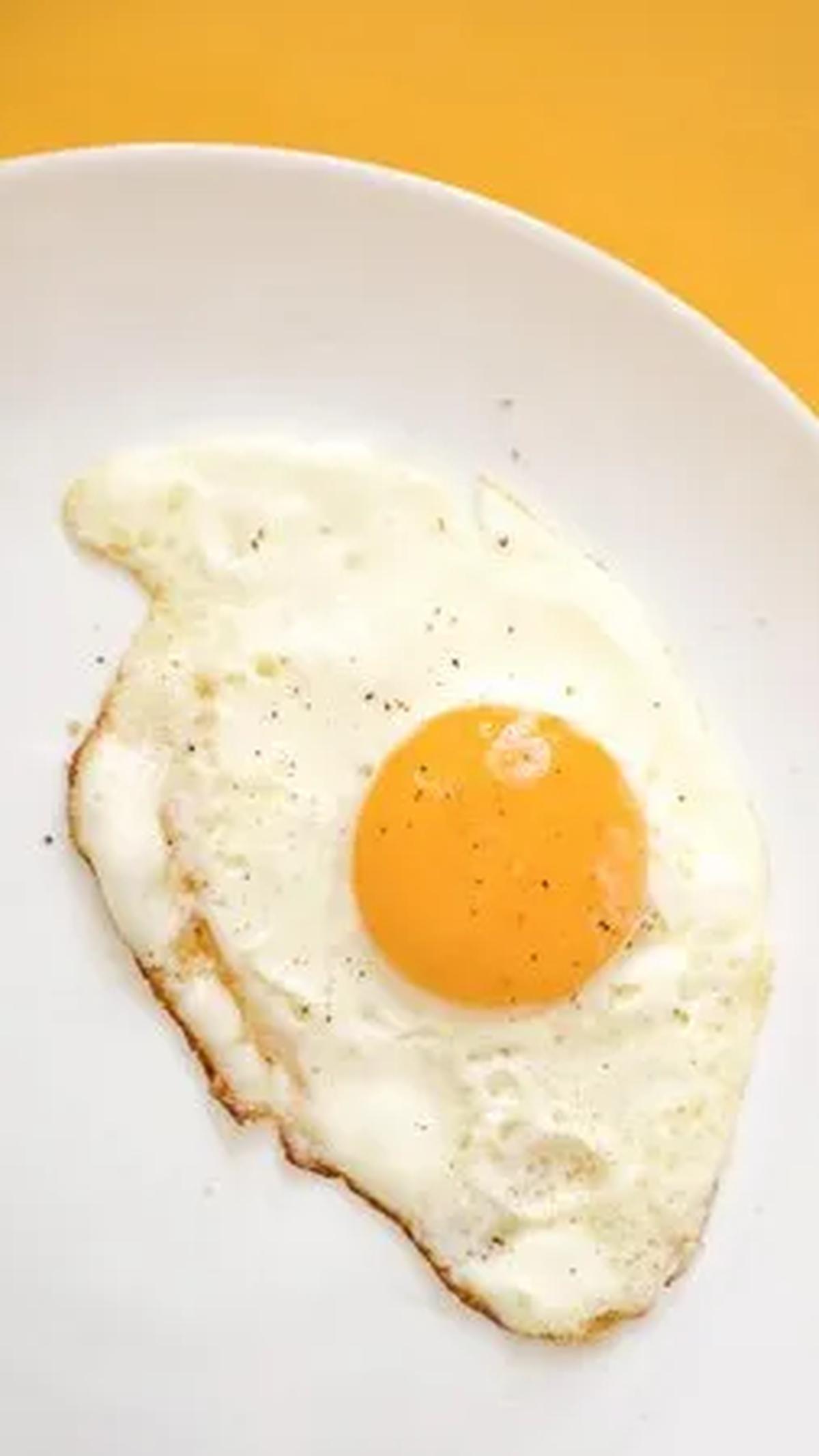 Mulai dari telur, udang, hingga tempe dan quinoa, variasi makanan tinggi protein dapat menjadi pilihan sehat untuk anak-anak dan dewasa.