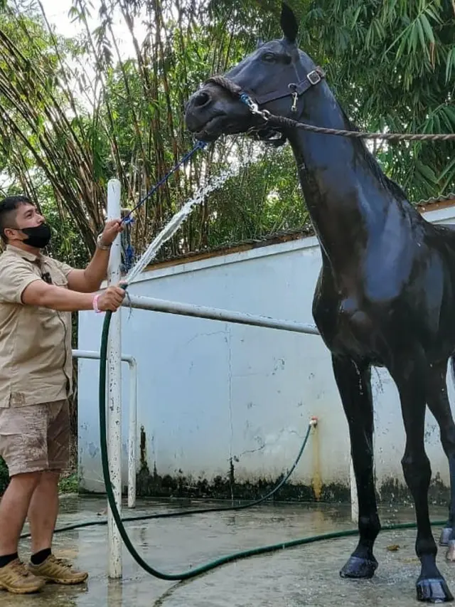 Irfan Hakim bersama dengan satwa