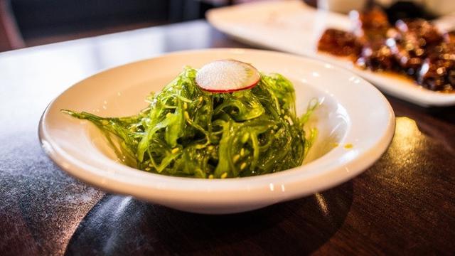 Ilustrasi rumput laut