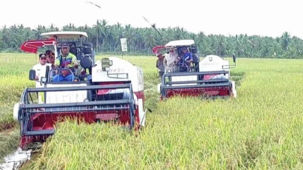 Data BPS: Nilai Tukar Petani 0,22 Persen Per Maret 2025