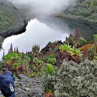 Taman Nasional Rwenzori, Uganda. (xcellentsafaris.de)