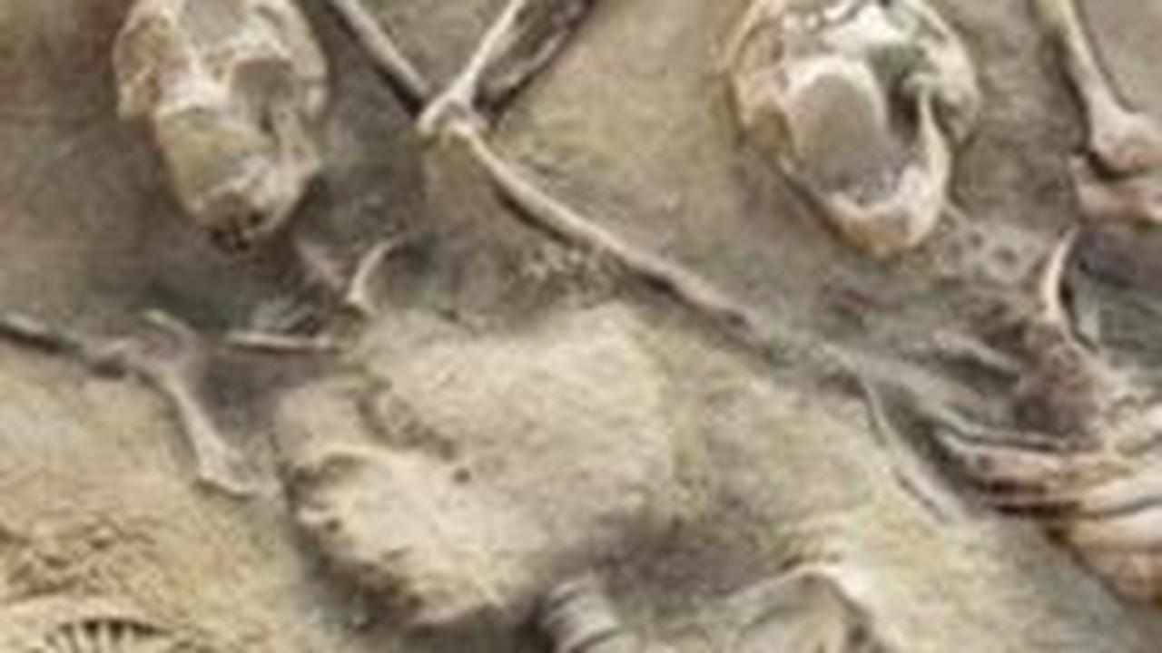 Mencekam, Makam Yunani Kuno Berisi Ribuan Kerangka Manusia Ditemukan dalam Kondisi Diborgol