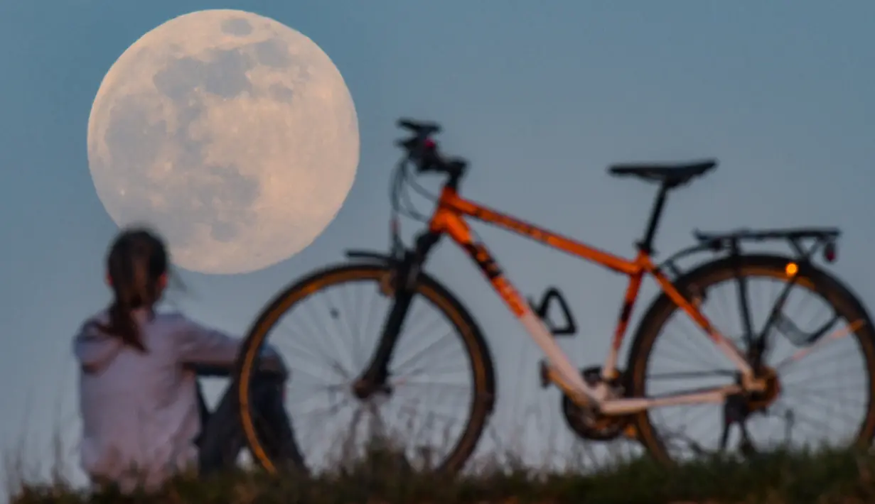 Pengendara sepeda berhenti untuk menyaksikan supermoon di Sieversdorf, Jerman, Selasa (7/4/2020). Fenomena dimana bulan berada pada titik terdekat dengan bumi ini merupakan penampakan supermoon terbesar di tahun 2020. (Patrick Pleul /dpa/AFP)