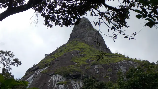 Bukit Selero atau Bukit Jempol, destinasi pendakian unik di Sumatra Selatan