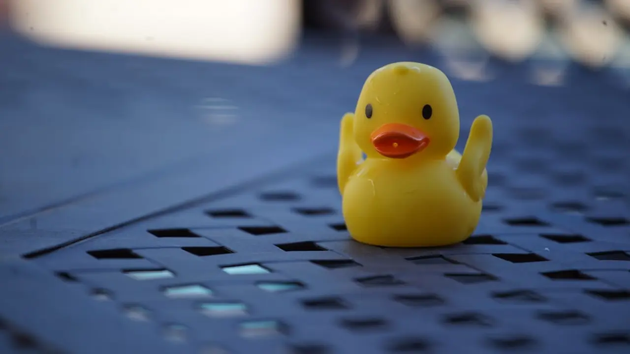 Mainan bebek karet (unsplash)