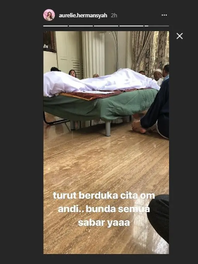 Aurel Hermansyah