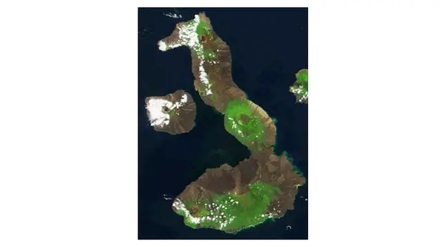 pulau unik