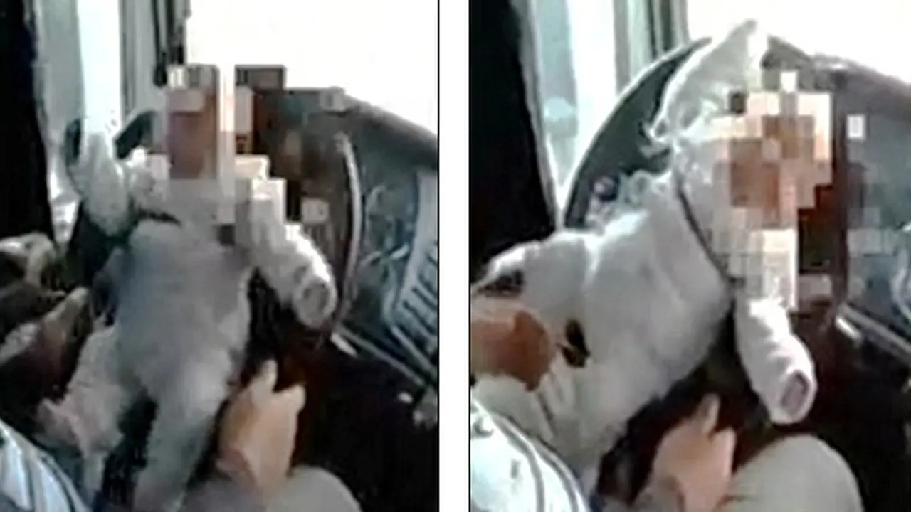 Ayah Ini Jadikan Anaknya "Setir Mobil"