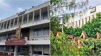 Lebih dari 200 monyet kabur dari penangkaran di Thailand dan serbu kantor polisi. (sumber: Mothership)