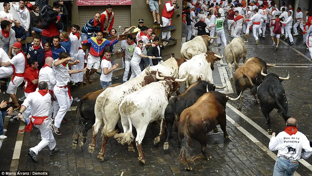 Adu Adrenalin dengan Banteng di Festival San Fermin