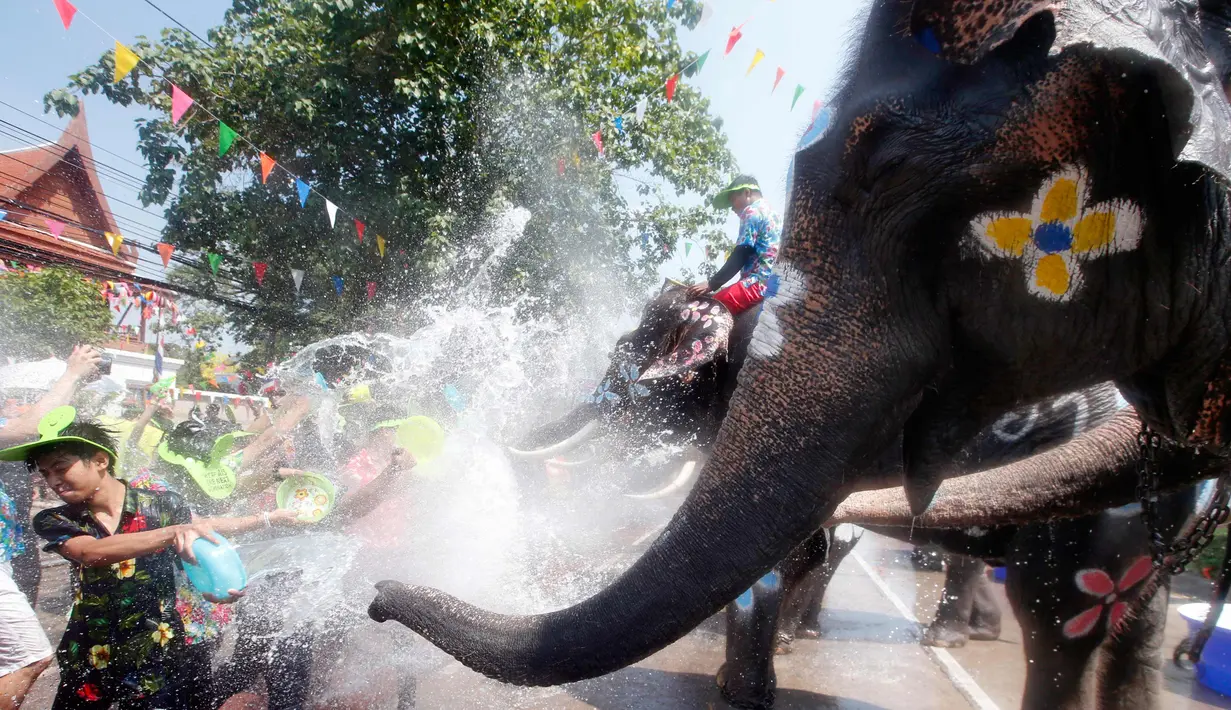 Warga dan seekor gajah saling menyiramkan air dalam perayaan festival air Songkran di provinsi Ayutthaya, utara Bangkok, Thailand, (11/4). Tahun baru Thailand dirayakan pada 13 April. (AP Photo/Sakchai Lalit)