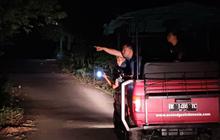 Menelusuri Wisata Jejak Gajah di Taman Nasional Way Kambas, Rute dari Jakarta Pakai Kapal Ferry