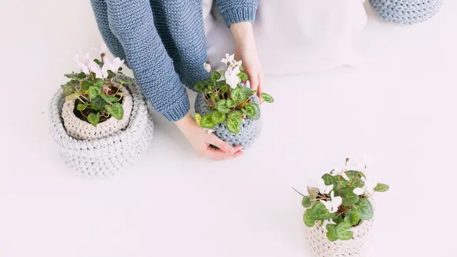 Meningkatkan kualitas udara