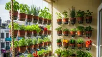 7 Ide Kebun Mini Vertikal untuk Rumah Mini, Ketahui Cara Membuat dan Perawatannya bagi Pemula