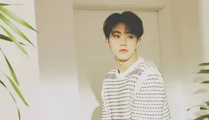 Hoshi Seventeen. (Pledis Entertainment via Soompi)