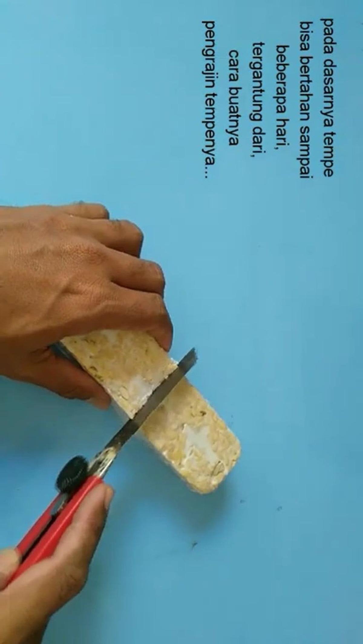 Potong Tempe yang Ingin Disimpan