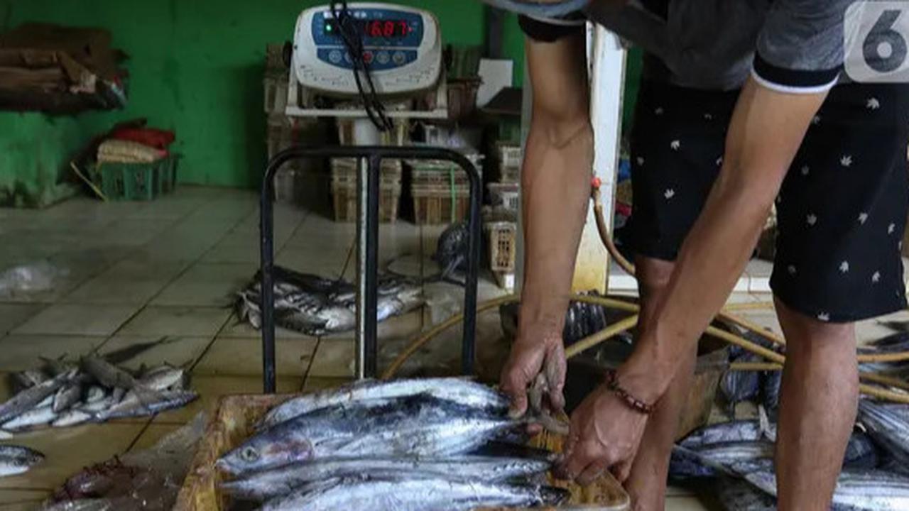 Miris, Investasi Sektor Perikanan Cuma Rp11,7 Triliun dalam Kurun Waktu 10 Tahun