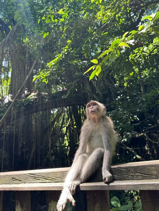 Unggahan Ahn Bo Hyun di Bali. (Instagram/ bohyunahn)