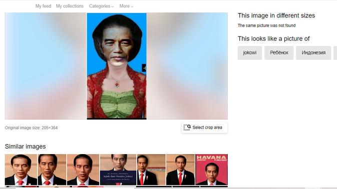 Penelusuran klaim Jokowi dan Anies mengenakan sanggul dan kebaya