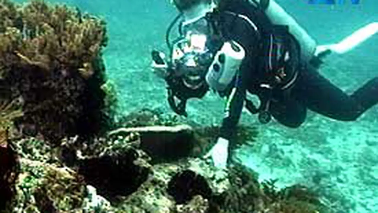 080413amelancong.jpg