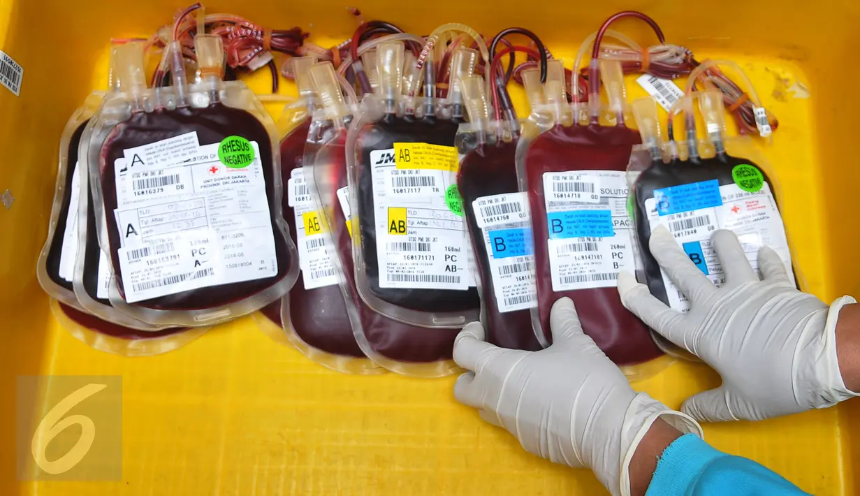 Petugas menunjukkan stok darah di Unit Transfusi Darah (UTD) PMI Provinsi DKI Jakarta, Kamis (28/1). PMI mengantisipasi kenaikan permintaan kebutuhan darah akibat mewabahnya penyakit Demam Berdarah Dengue (DBD) di Jabodetabek (Liputan6.com/Gempur M Surya)