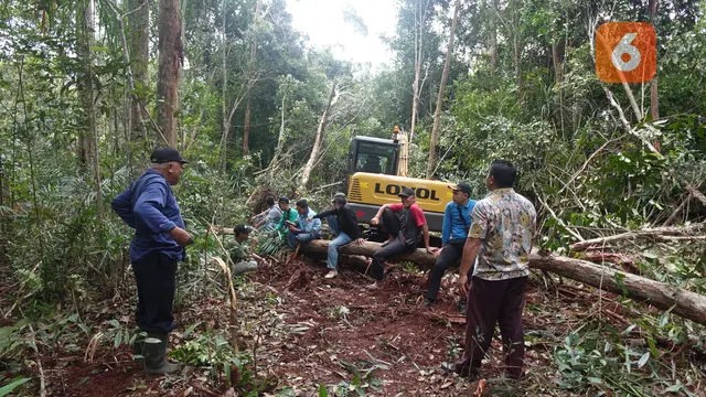 Alat Berat untuk Merambah Hutan