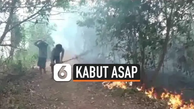 Sejumlah hewan keluar dari habitatnya akibat kebakaran hutan dan lahan di kawasan Seberang Ulu Satu, Palembang, Senin (14/10/2019).