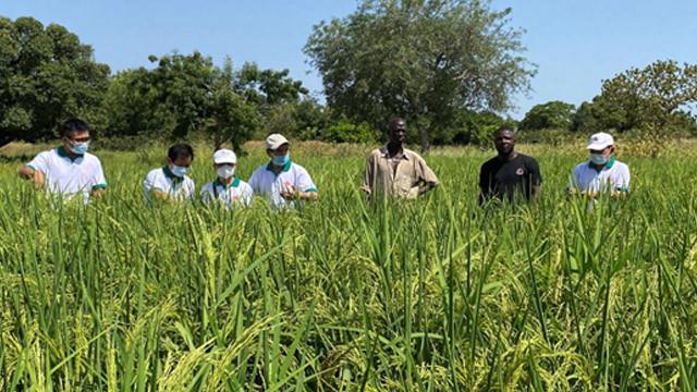 Tidak Boleh Ada yang Tertinggal